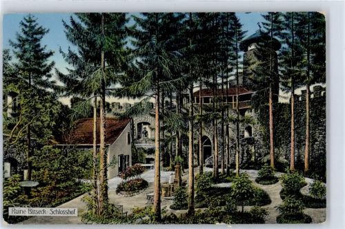 4144 Arlesheim - Ruine Birseck Schlosshof