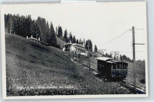 Blonay Hotel, Pension des Sapins, Eisenbahn, Lally
