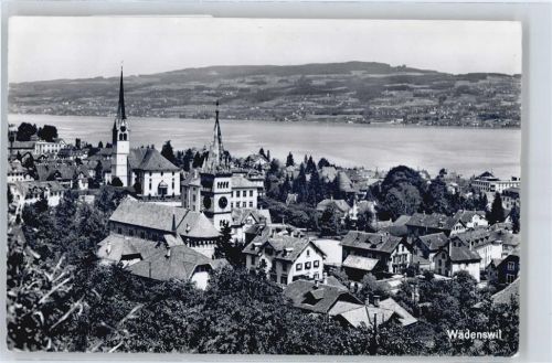 Wädenswil Panorama