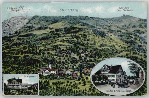 6416 Steinerberg Künstlerkarte Gasthaus Pension zum Rössli , Villa Aufdermauer