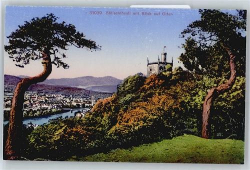 Olten Sälischschlössli