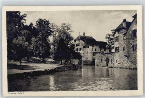 Hallwil Schloss