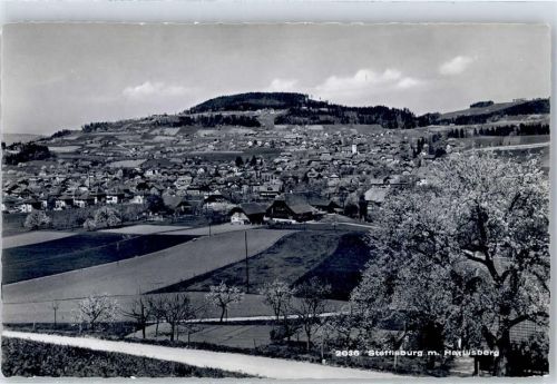 Steffisburg