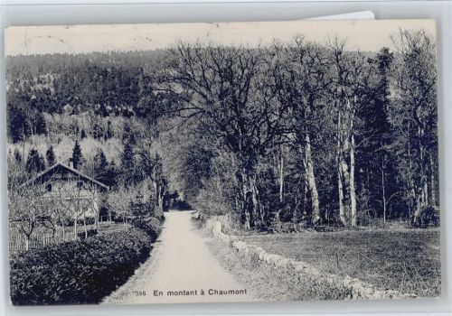 En mountant a chaumont