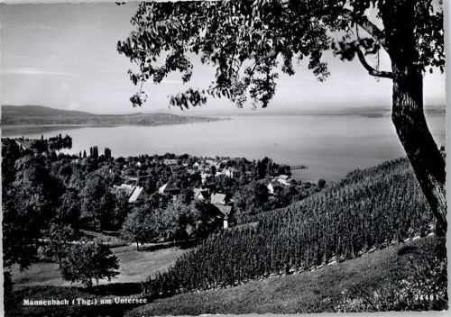 8268 Mannenbach-Salenstein - Gesamtansicht, Hotel Schiff