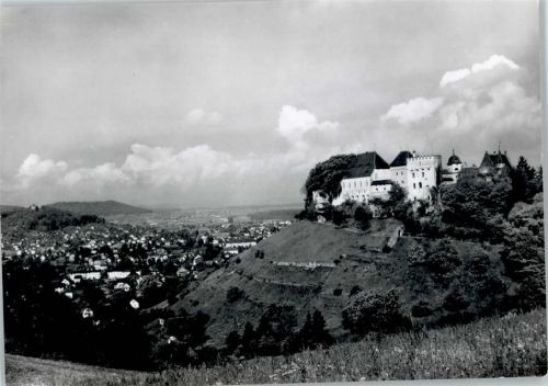 Lenzburg Schloss, Teilansicht