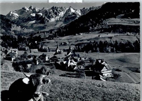 9651 Ennetbühl - Säntisgruppe, Kuh