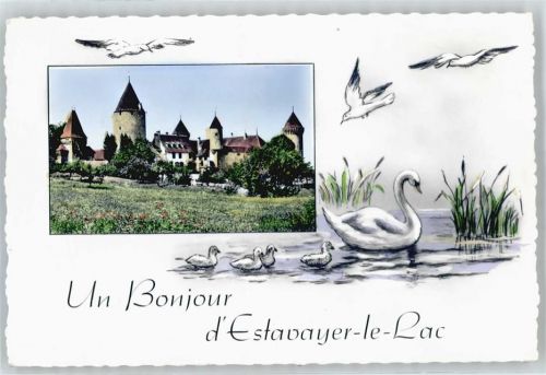 Estavayer-le-Lac Schwan