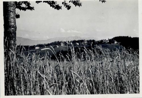 Menzberg Teilansicht