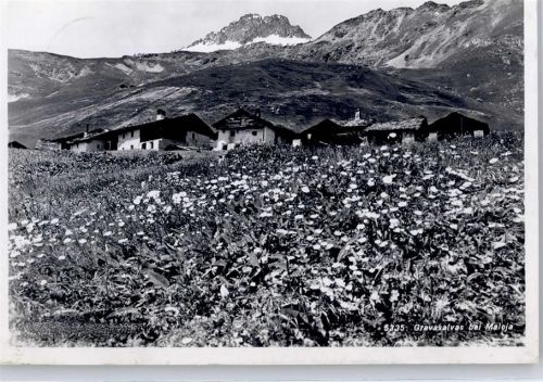 Maloja Alpe