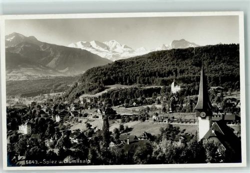 Spiez Blümlisalp