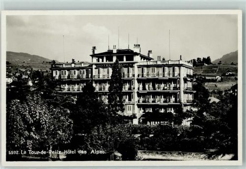 La Tour-de-Peilz Hotel des Ales