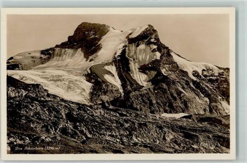 Scheerhorn