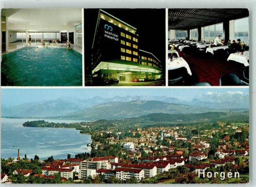Horgen Seehotel Meierhof