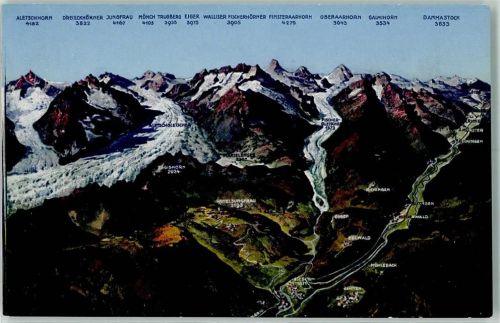 Aletschgletscher Vogelschau