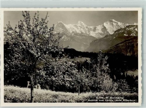 Beatenberg Ausblick vom Garten Hotel Silberhorn