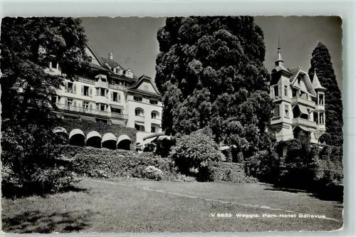 Weggis 1959 Park Hotel Bellevue