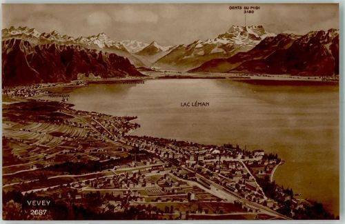 Vevey Vogelschau Genfersee