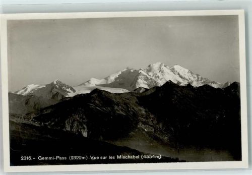 Gemmipass Wallis