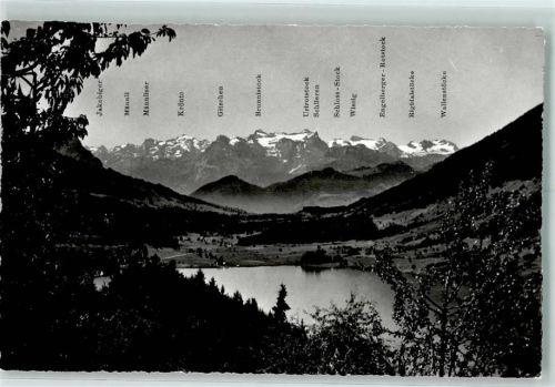 Aegerisee Kuranstalt Ländli Panorama