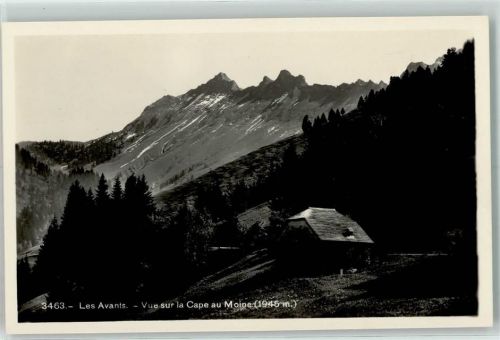 Les Avants Cap au Moine