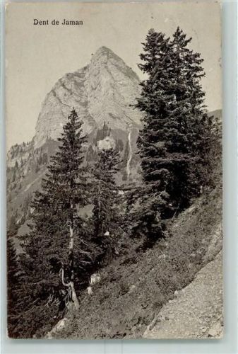 Dent de Jaman 1921