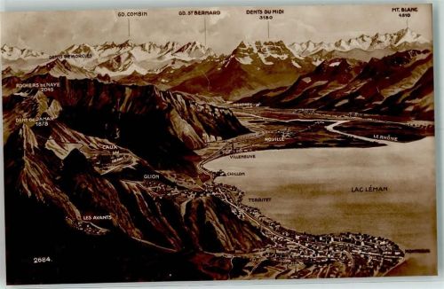 Monthey Genfersee Walliseralpen Vogelschau