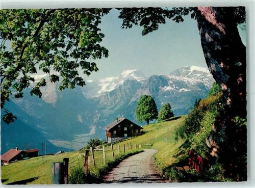 Braunwald Glarus Blick gegen Tödi