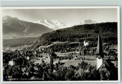 Spiez Blümlisalp