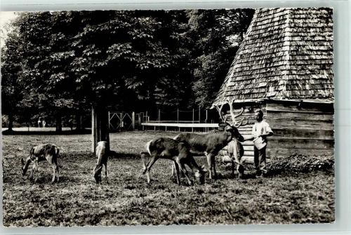 Zofingen Hirschpark