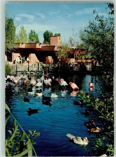 8640 Rapperswil SG - Flamingos Enten Gänse Gasthaus im Knies Kinderzoo