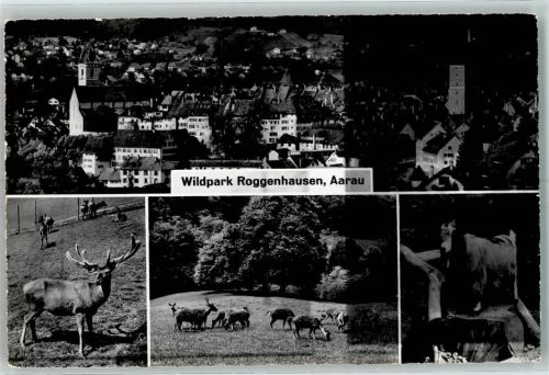 Aarau Wildpark Roggenhausen