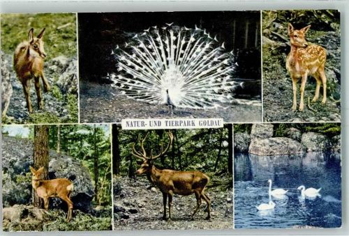 6410 Goldau - Natur und Tierpark