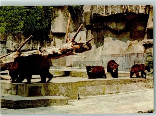 Langnau Wildpark Langenberg Bären