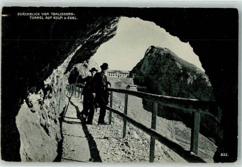 Tomlishorn Kulm Esel