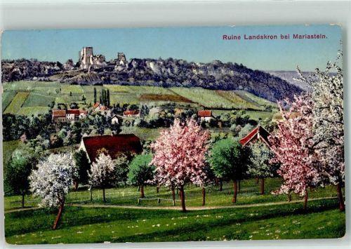 Mariastein Ruine Landskron Bäume im Blust