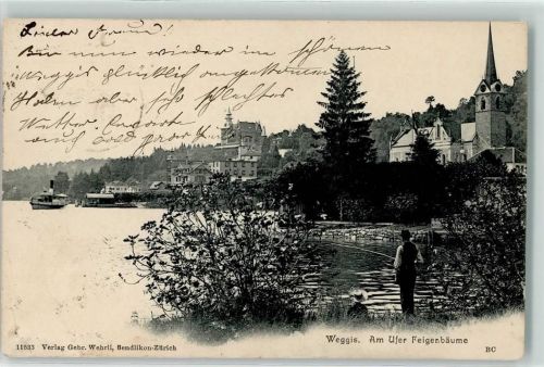 Weggis 1904 Feigenbäume am Ufer
