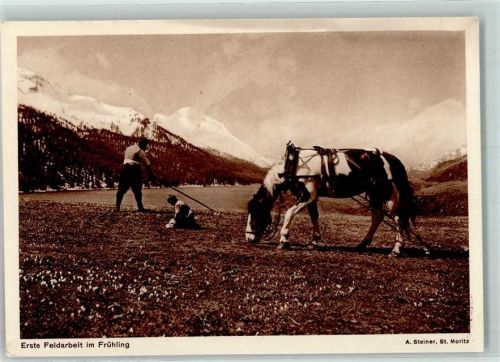 Erste Feldarbeit im Frühling mit Zugpferd AK vom Schweiz Samariterbund