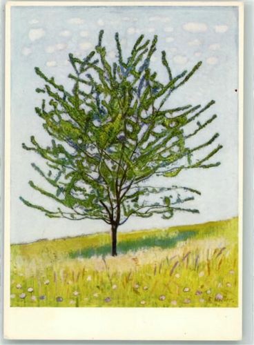 Das Kirschbäumchen Ferd Hodler sign.
