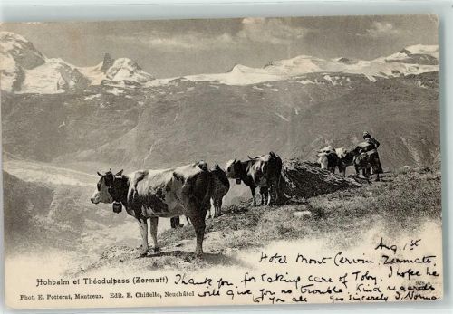Hohbalmenstafel Kuhherde
