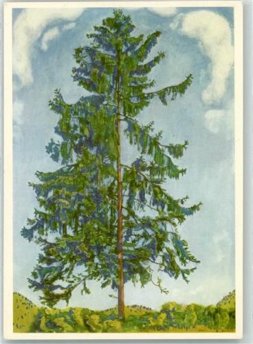 Die Tanne Ferd Hodler sign.