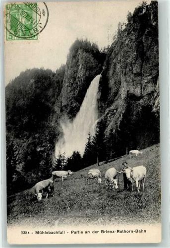 Brienz BE 1908 Mühlebachfall Bauer mit Kühen