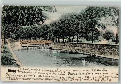 Morges 1908 Schwäne im Teich