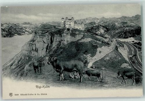 6410 Rigi Kulm - Gasthaus Rigi Kulm Kuhherde