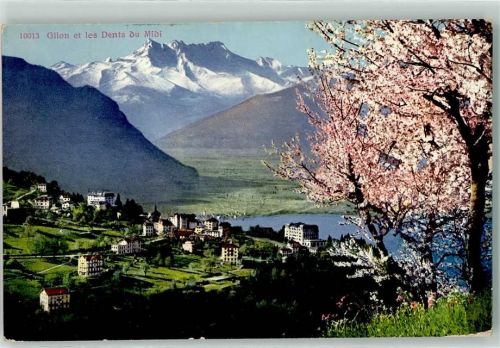 Glion Blühende Bäume