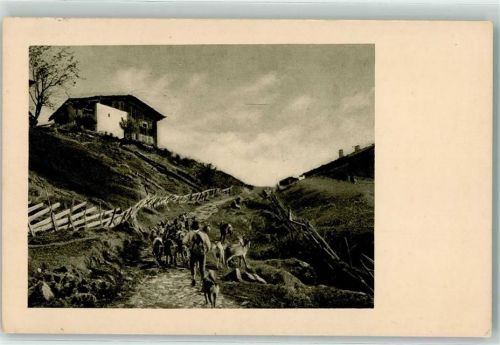 1917 Chalet Bauer mit Ziegenherde Phot Naturstudien 704