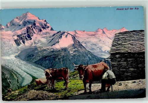 Abend auf der Alp Senn beim Kuh melken