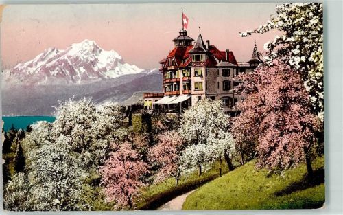 Weggis Hotel Alpenblick Pilatus Bäume im Blust