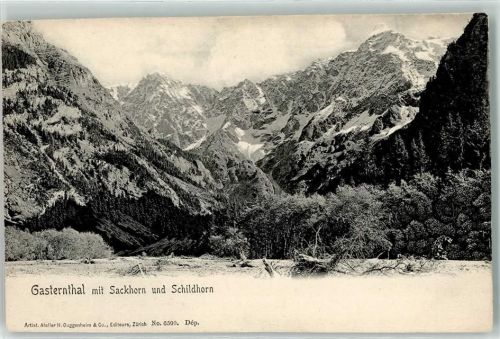 Sackhorn Schildhorn
