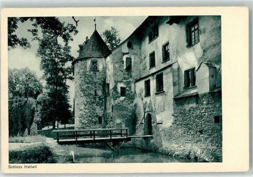 Seengen Schloss Hallwil